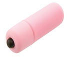 Bullet Vibrator