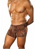 Brown Leopard Shorts