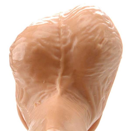 6 inch realistic dildo with suction cup close up of balls