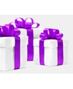 Top 10 Christmas Gift Ideas for Adults