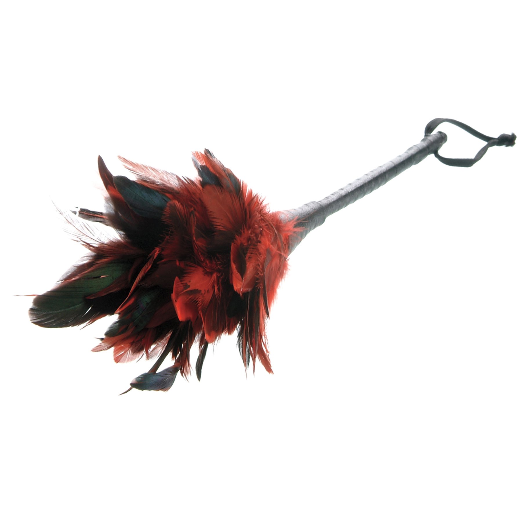 Frisky Feather Duster