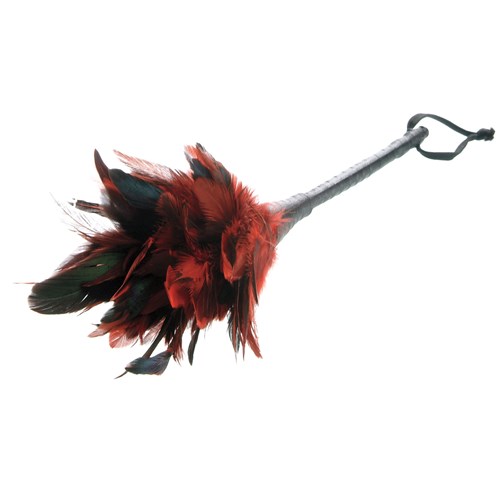 Frisky Feather Duster