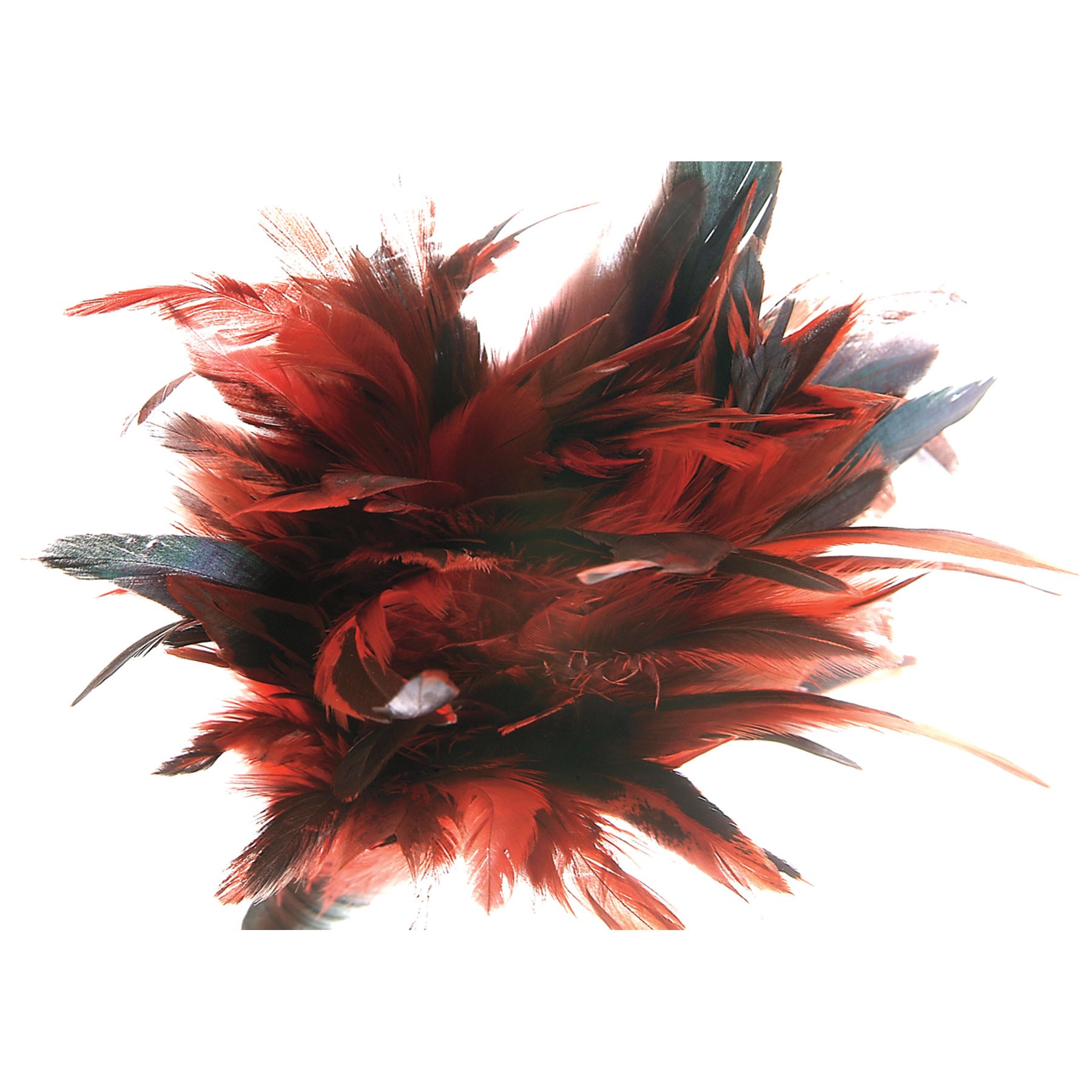 Frisky Feather Duster close up of feather end
