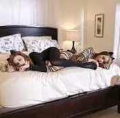 How to be a Wildcat in Bed
