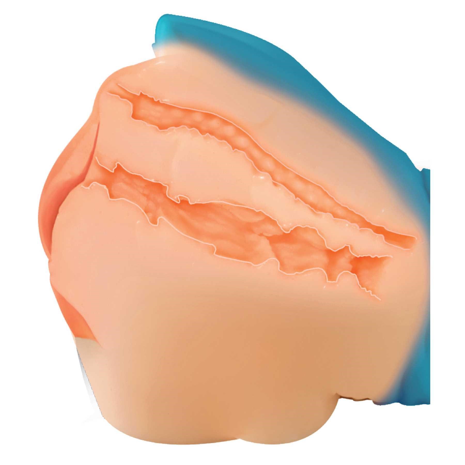 Japanese co-ed masturbator diagram showing entry tunnels and texture