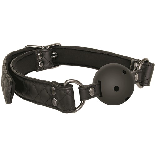 Eve's Fetish Dreams Advanced Bondage Set Ball Gag Front View