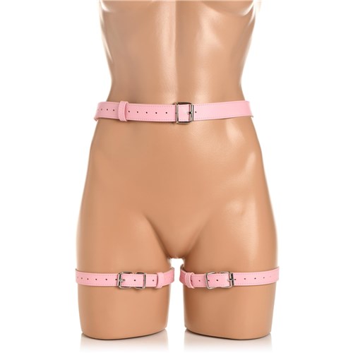 Strict Bondage Harness With Bows - Front Shot