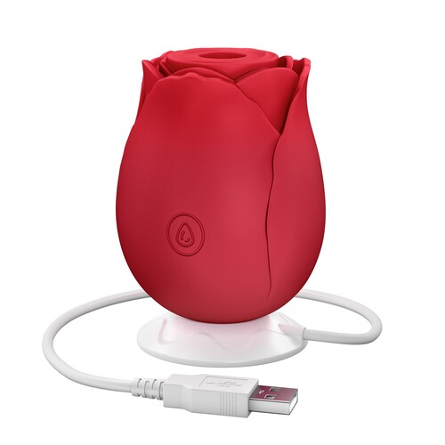 Eve's Ravishing Rose Pleaser Product Shot Showing Where Charger is Placed