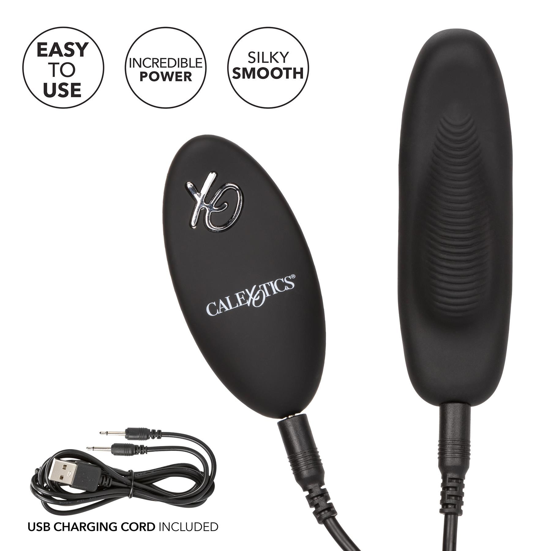 Lock-N-Play Remote Petite Panty Teaser - Vibrator and Remote - Charging Cables
