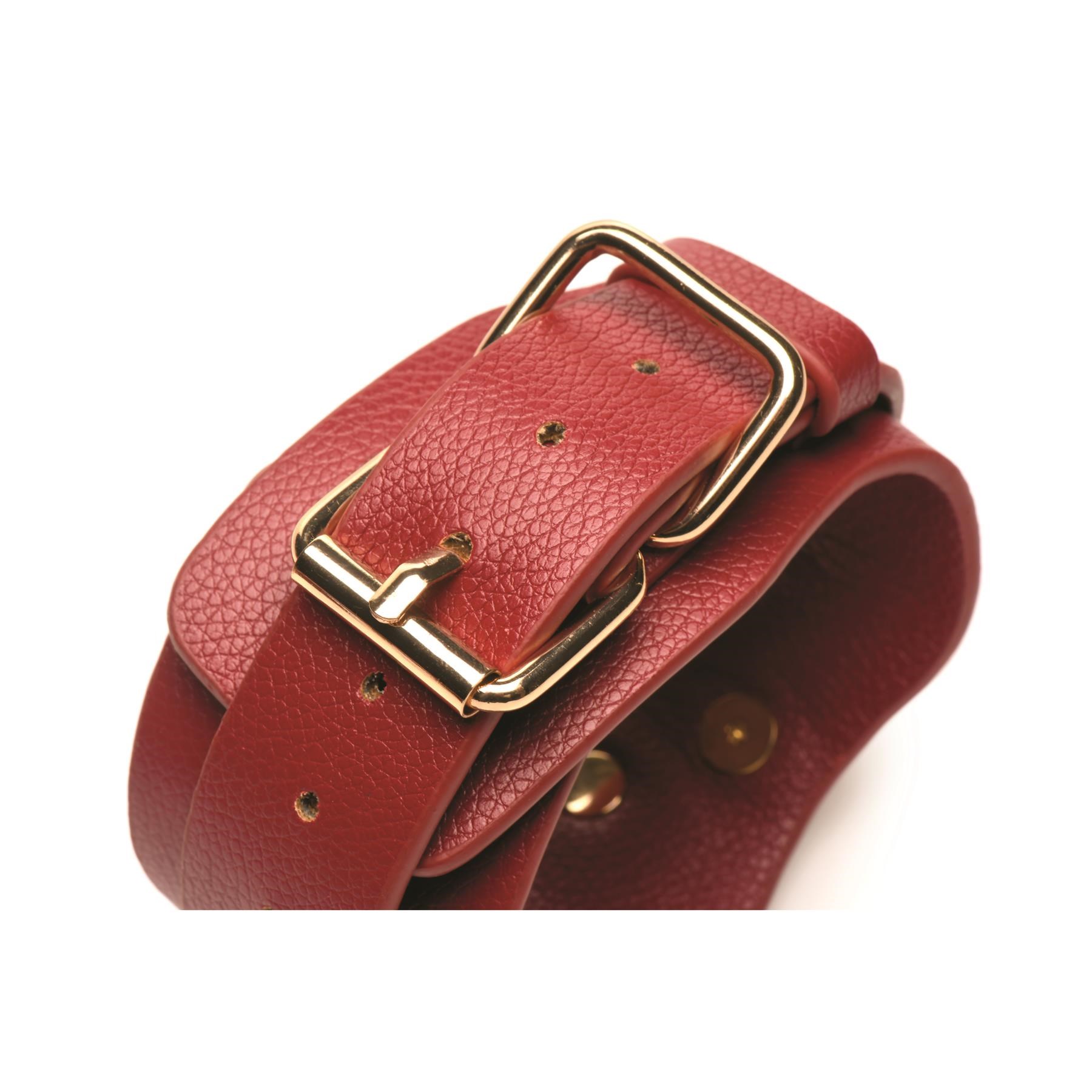 Bedroom Bliss Lover's Restraint Set - Close Up on Cuff