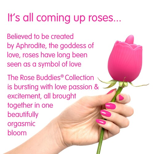 Rose Buddies The Rose Flix as a flower