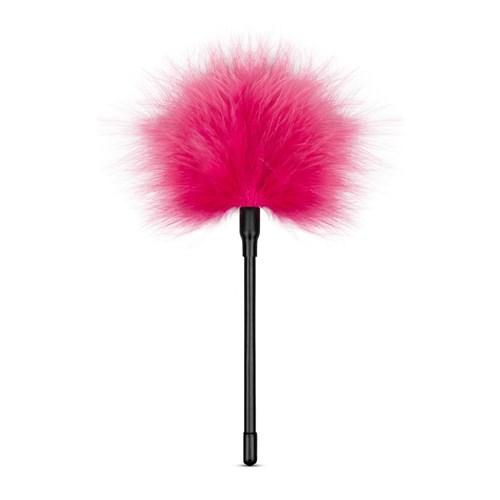Loveboxxx Holiday Stocking - Feather Tickler