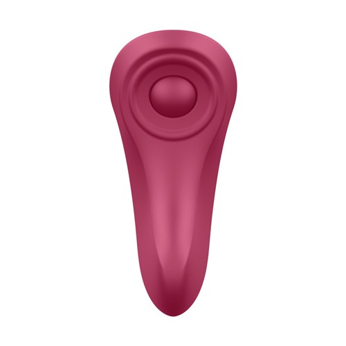 Satisfyer Sexy Secret Panty Vibrator Back View