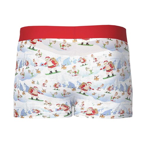 St. Dick Mesh Boxer Short back of boxers