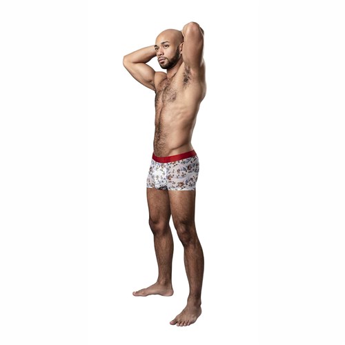 St. Dick Mesh Boxer Short model shot #4