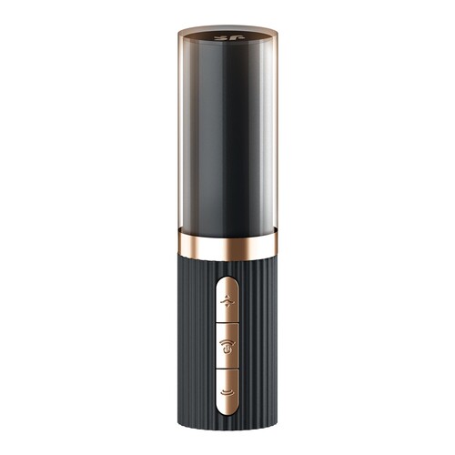 Satisfyer Pro 2 Kiss with case on