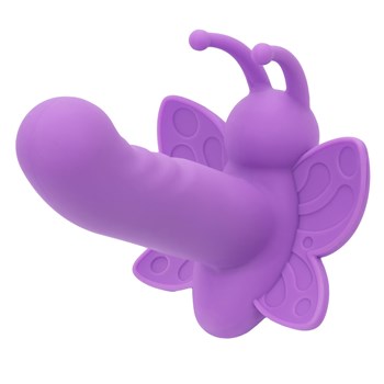 First Time Venus Butterfly