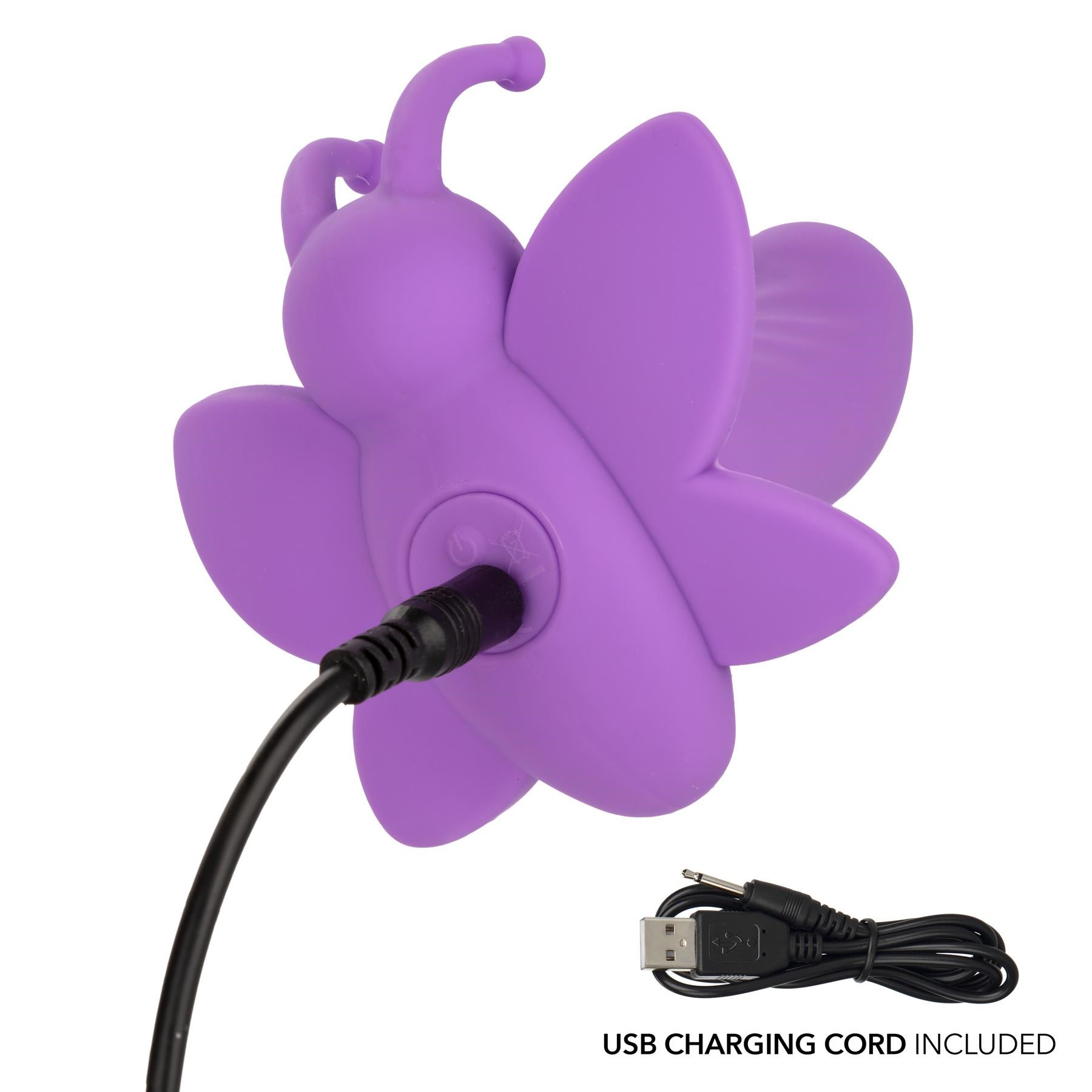 First Time Venus Butterfly CHARGING VIEW