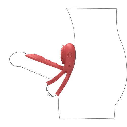 A&E Rose Vibrating C-Ring shown on penis illustration