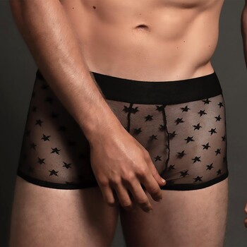 'Star Boxer front cropped