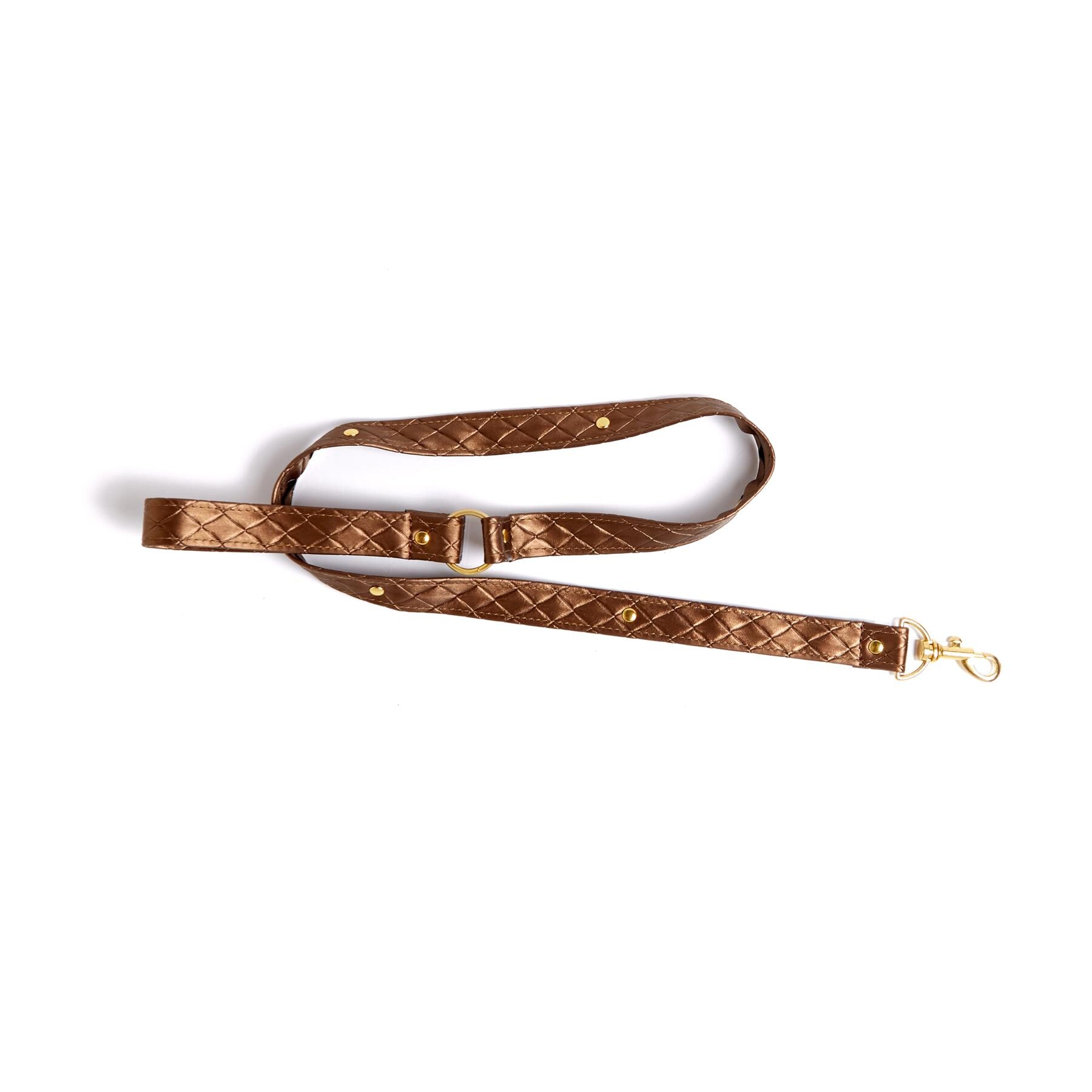 Darling Pet Bronze Collar and Leash view of leash