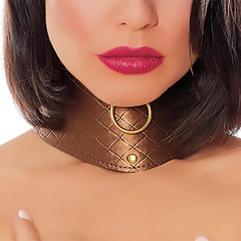 Look At Me Bronze Posture Collar on model