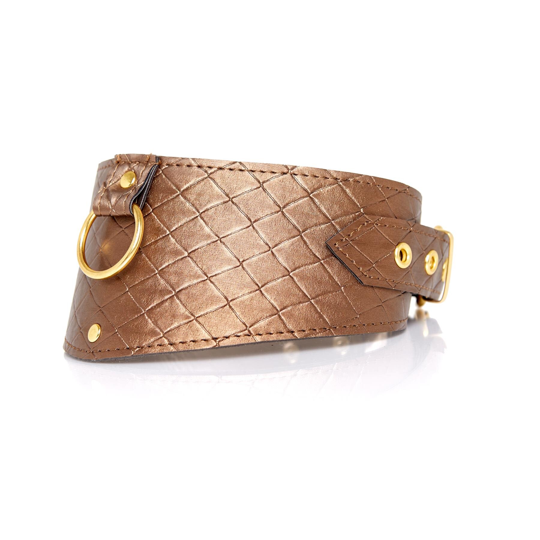 Look At Me Bronze Posture Collar view 1