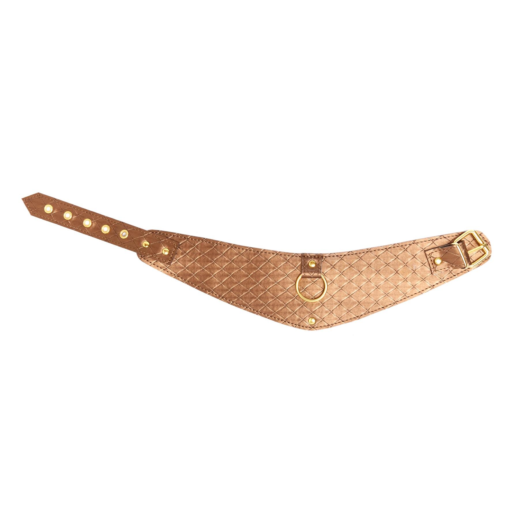 Look At Me Bronze Posture Collar view 2