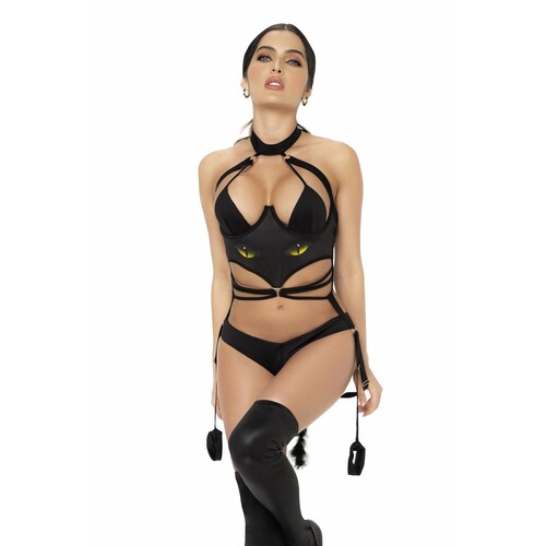 Sassy Kitty Costume front