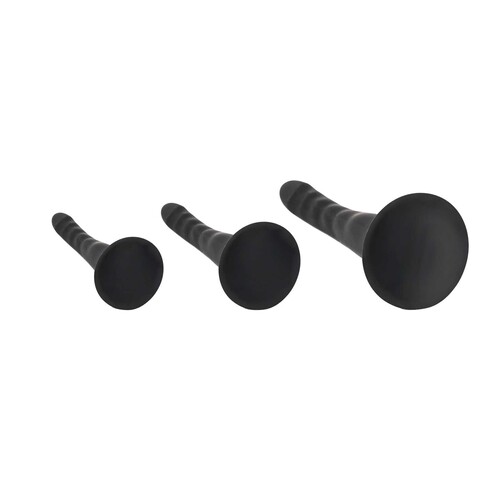 ADAM'S RIDGED TRIO PROSTATE ANAL TRAINER KIT