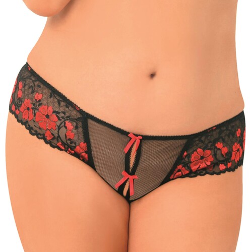Crotchless Cross-Dyed Lace Thong red cropped front