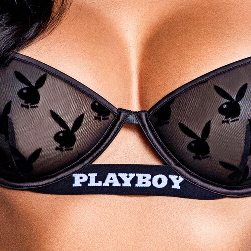 BURNOUT BUNNY WITH HARDWARE AND THONG front cropped