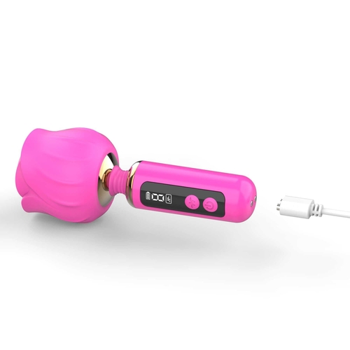 Adam & Eve Rizzy Rose Digital Mini Wand - Charger Visual