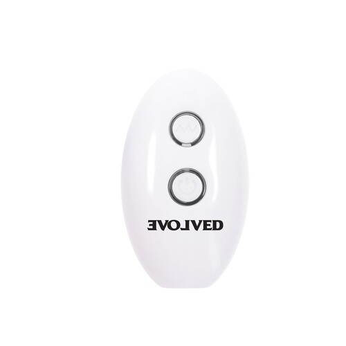 Paradise Anal Vibrator With Remote showing remote