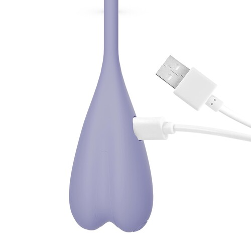 Adam & Eve Spiral Love Egg With Remote - Showing Charging Cable