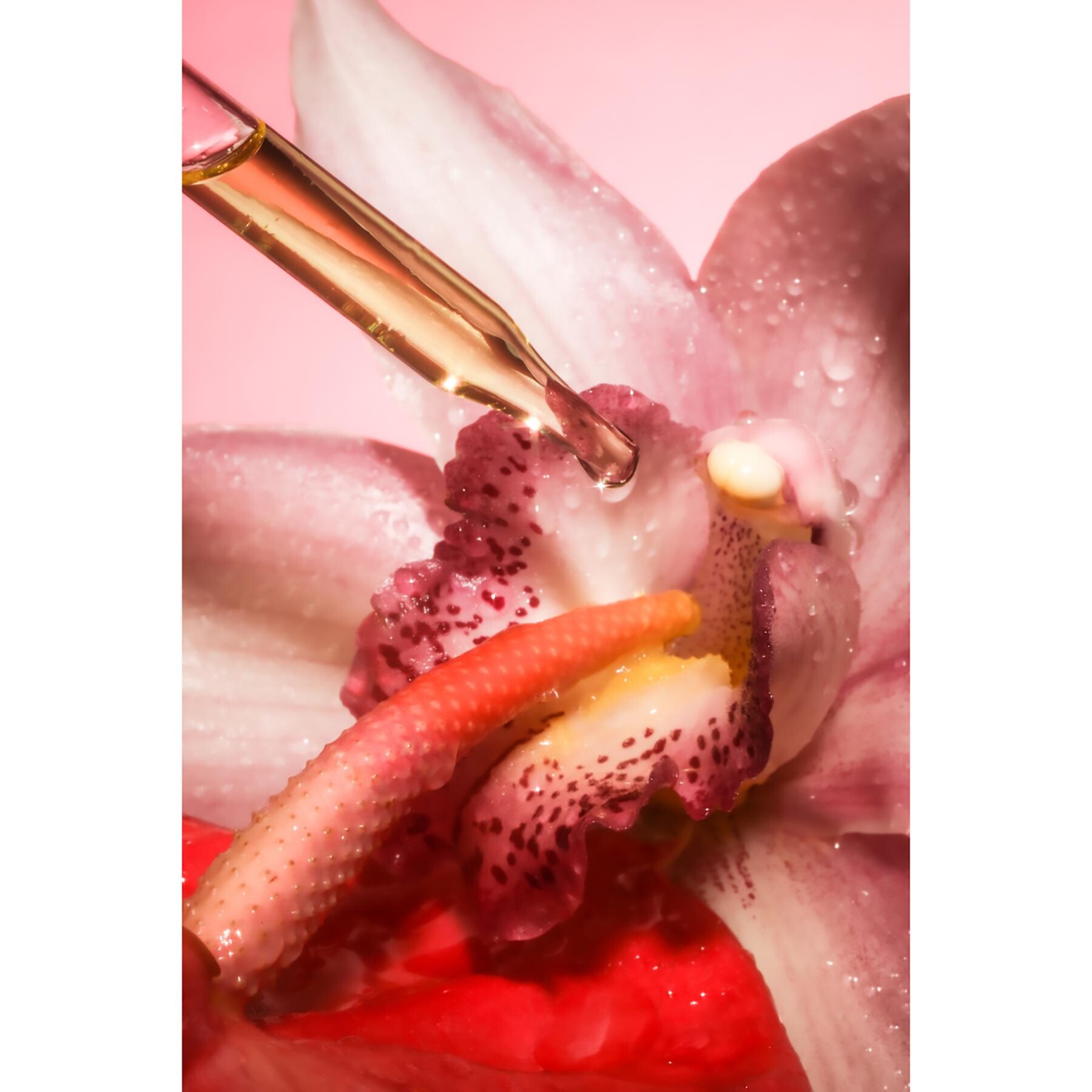 Awaken Arousal Oil mood shot #5