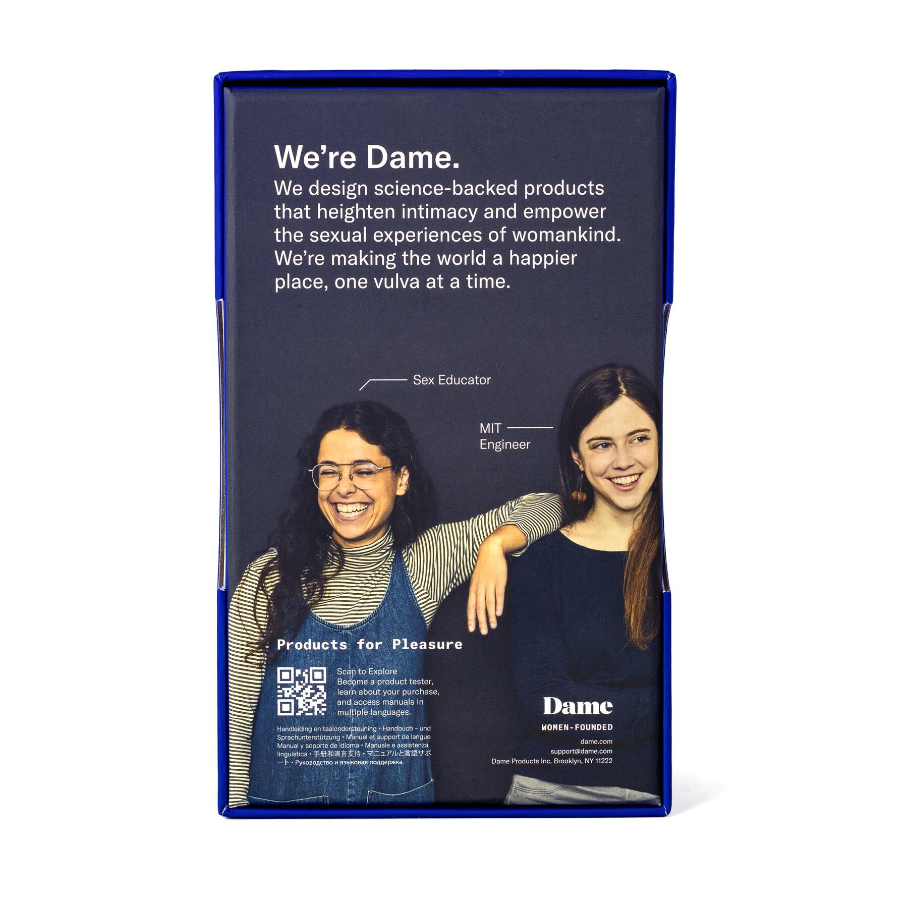 DAME LAY PANTY VIBE showing history of company