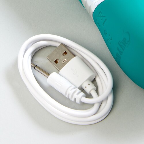 Eve's Rechargeable Thrusting Rabbit charger