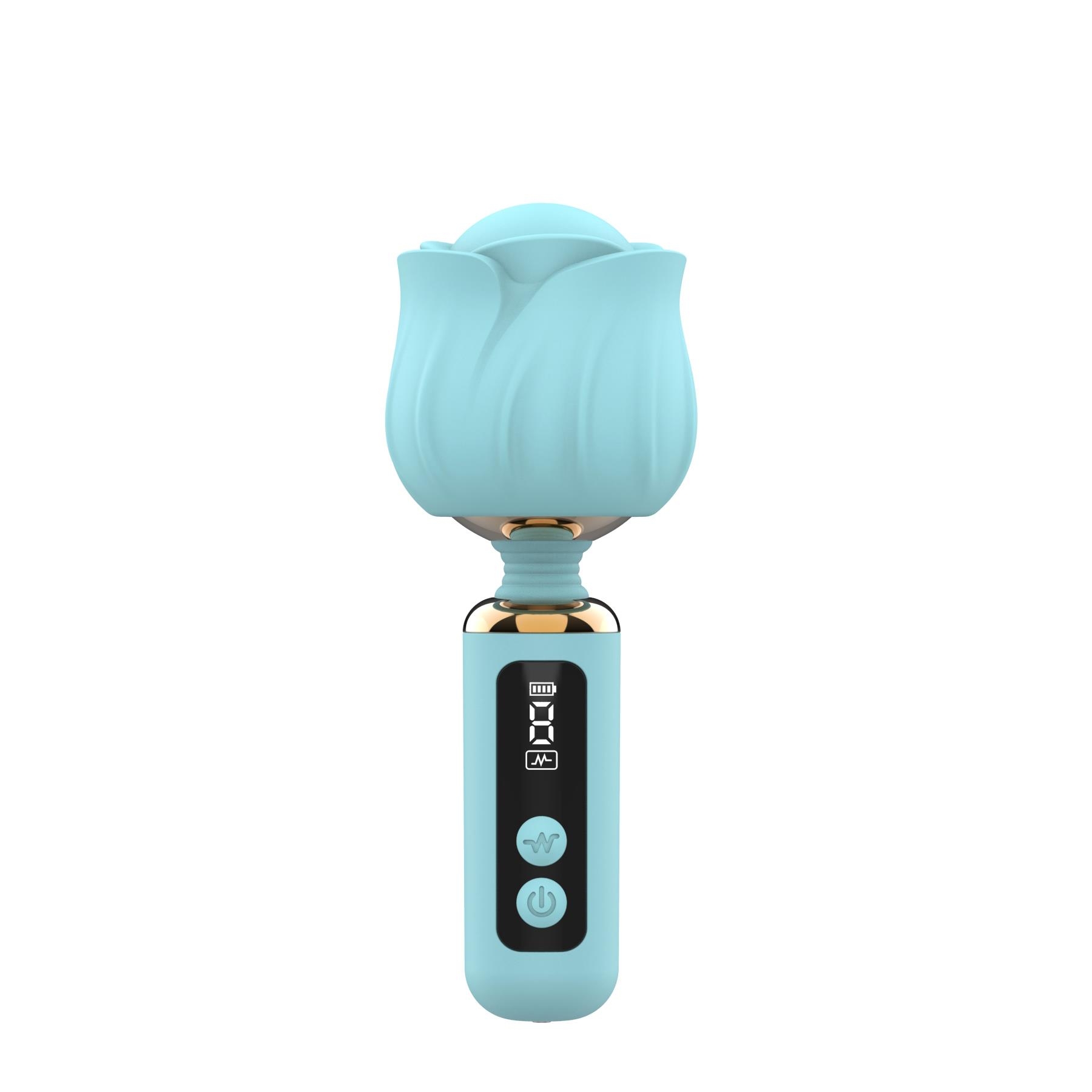 Adam & Eve Rizzy Rose Digital Mini Wand - Powder Blue
