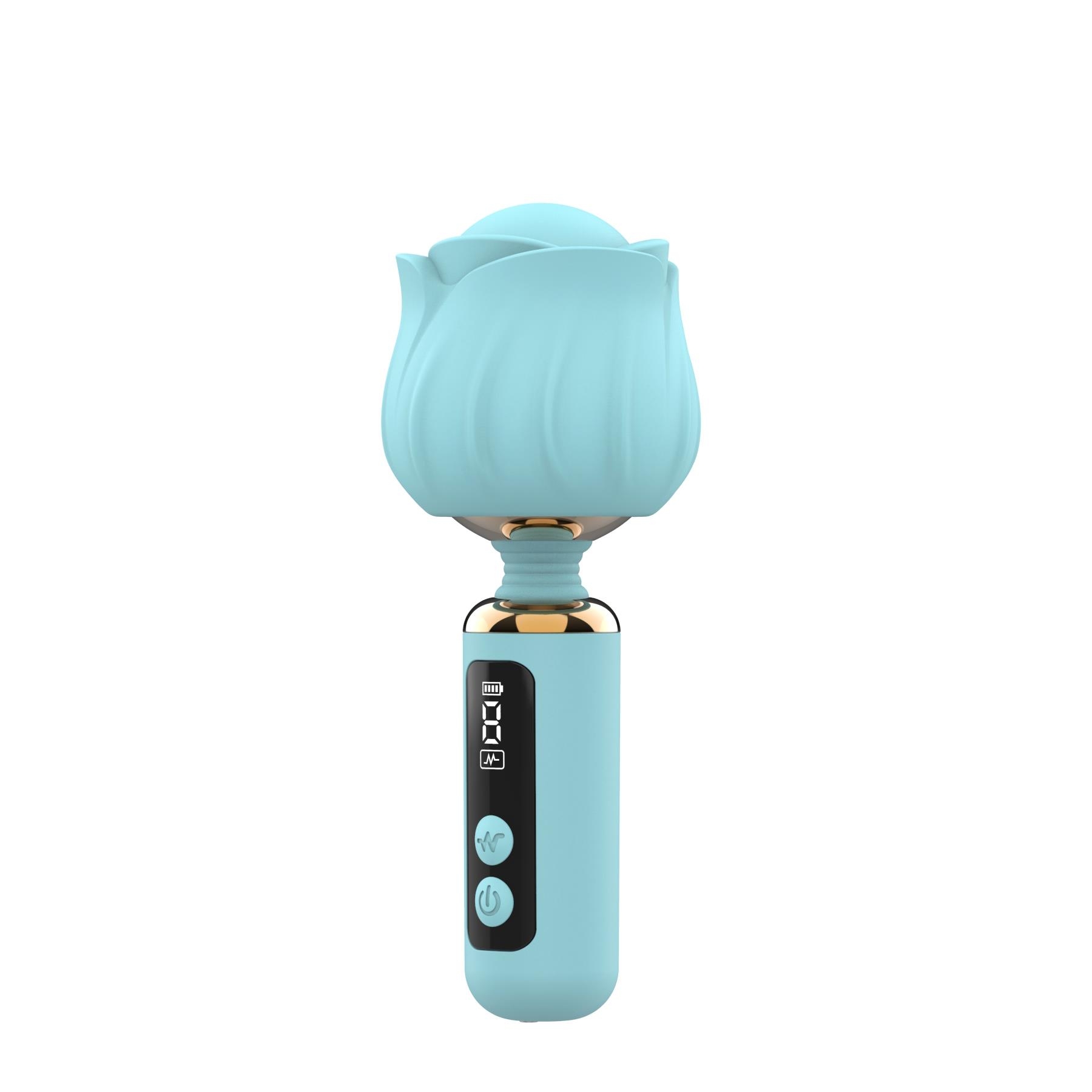 Adam & Eve Rizzy Rose Digital Mini Wand - Powder Blue