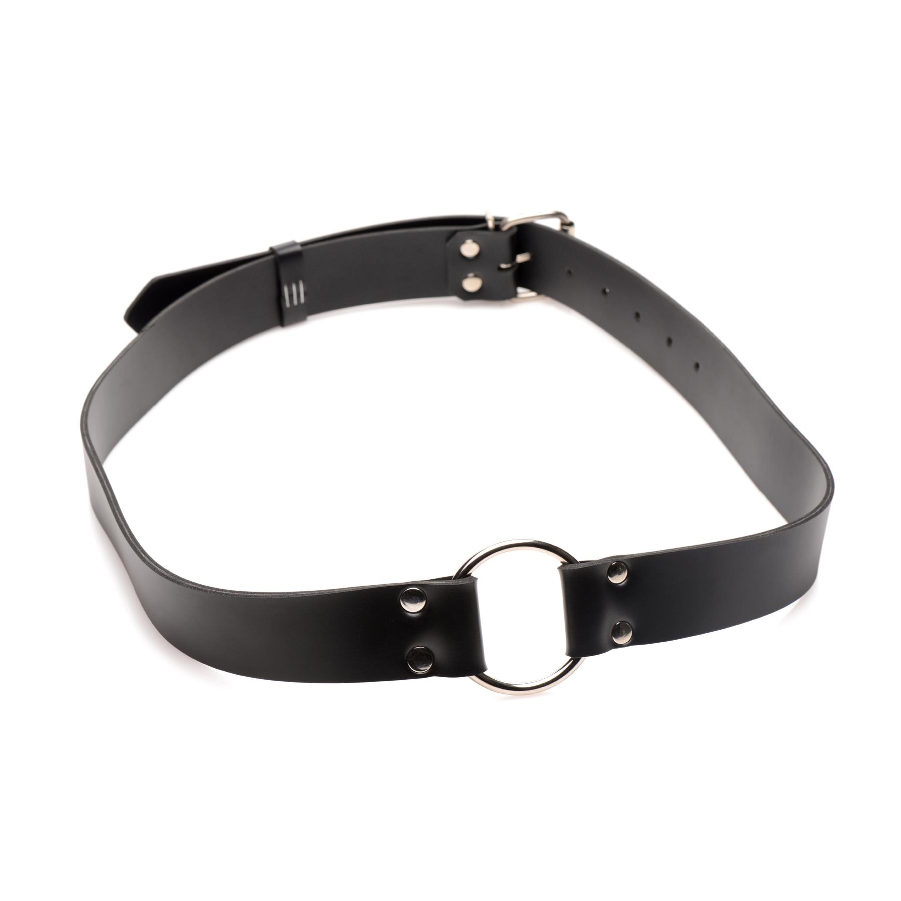 Master Series Strap And Ride Strap Harness