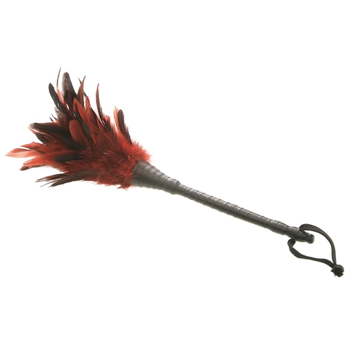 Fetish Fantasy Frisky Feather Duster view 1