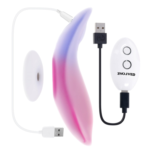 Paradise Panty Vibrator With Remote Control view 2