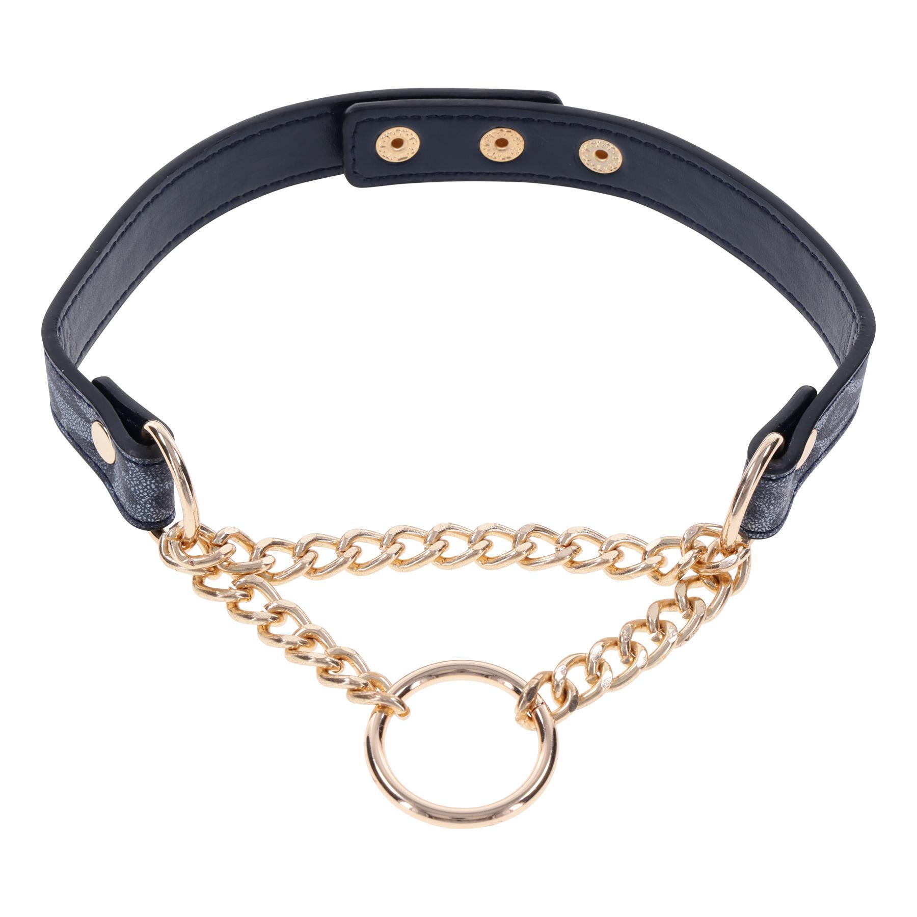Cougar Day Collar view 1
