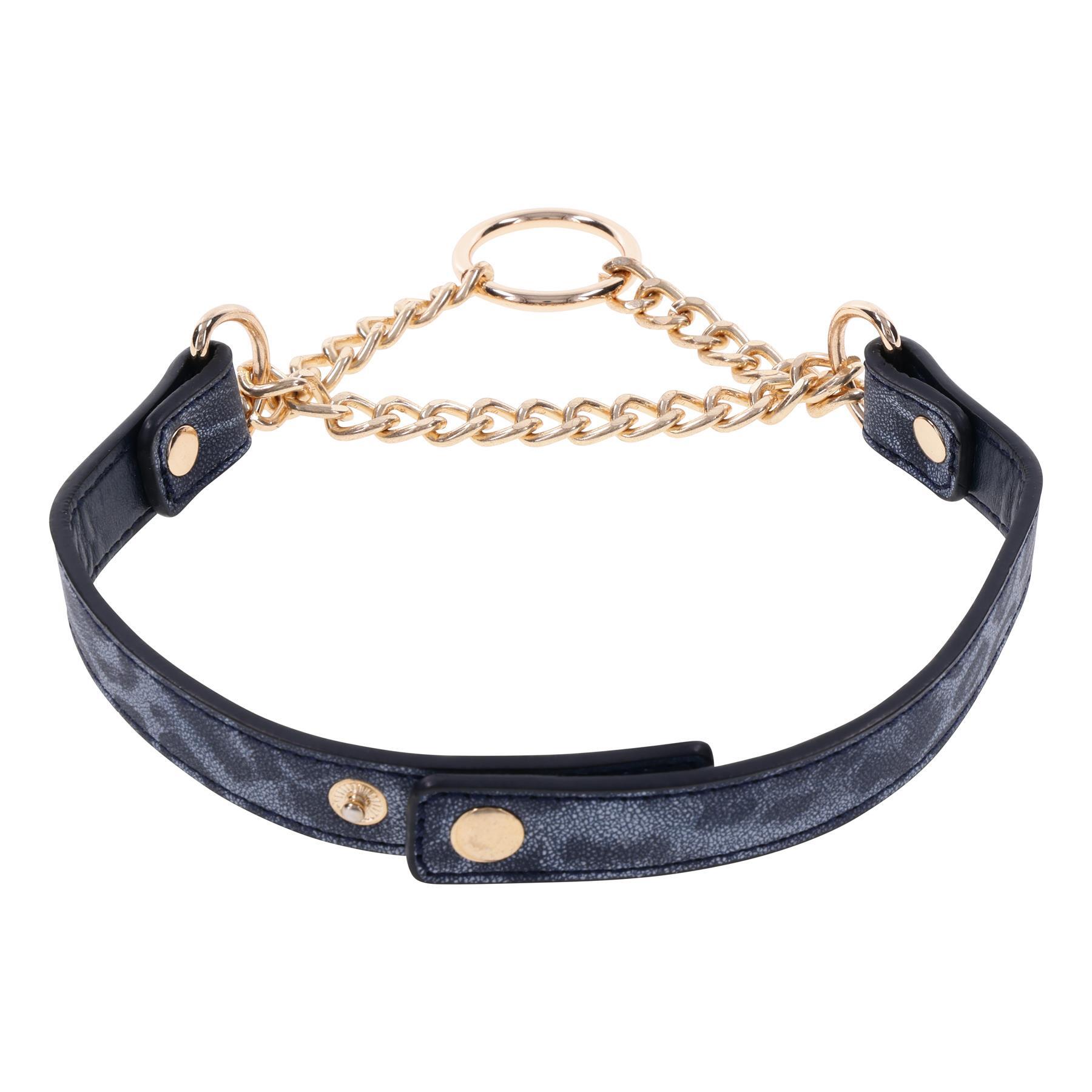 Cougar Day Collar view 4