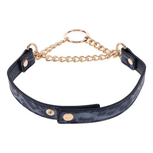 Cougar Day Collar view 4