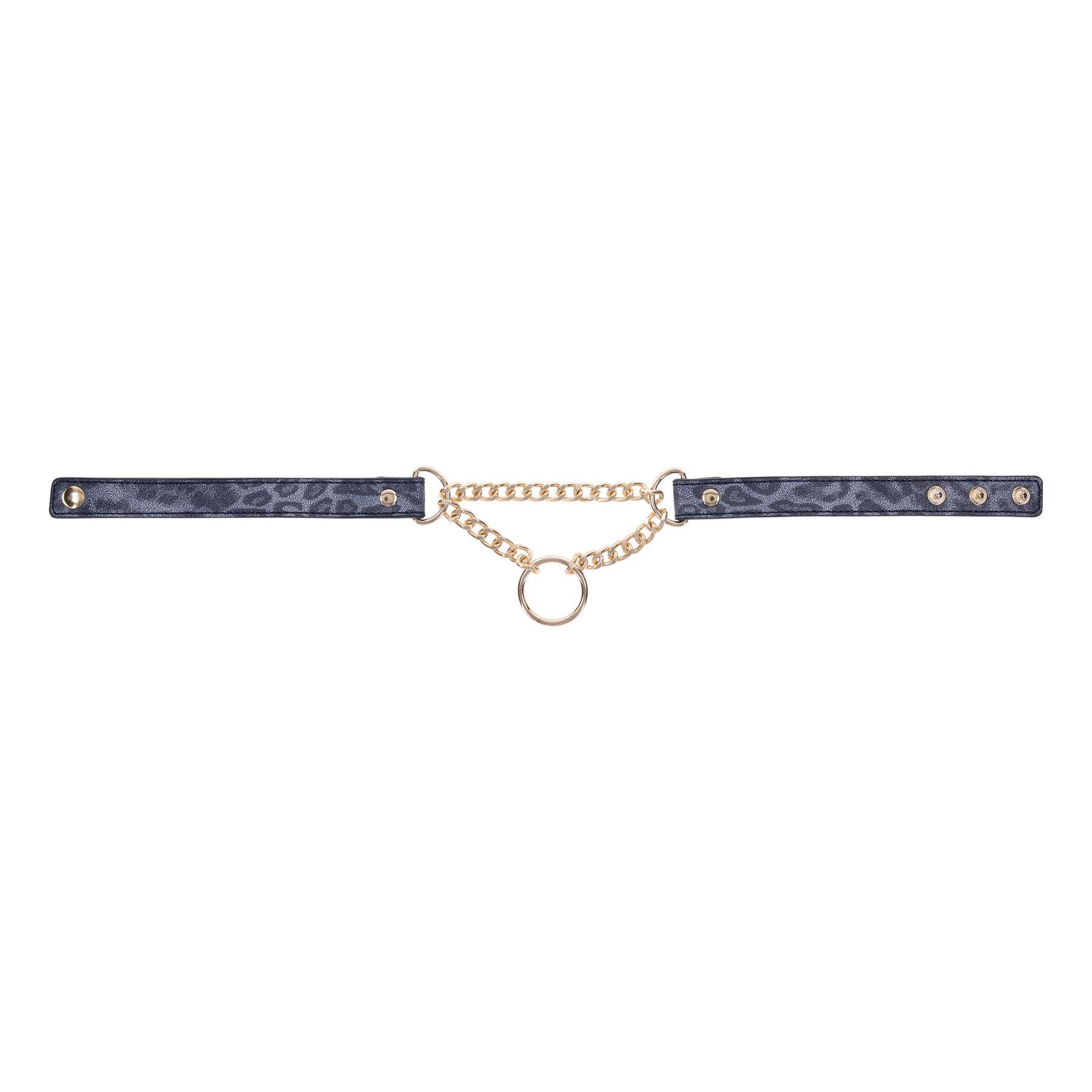 Cougar Day Collar view 5
