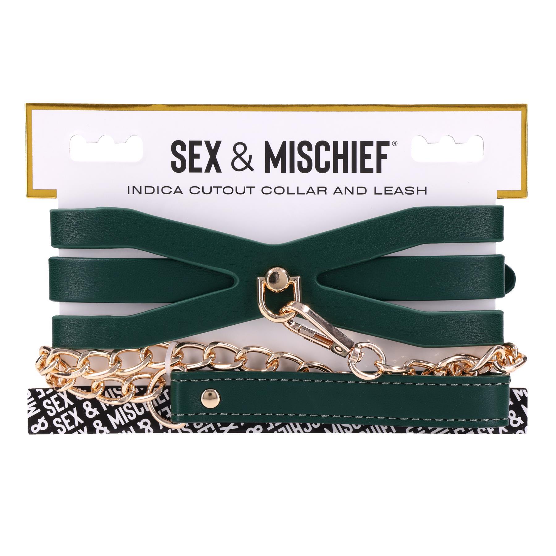 Indica Cutout Collar & Leash view 8