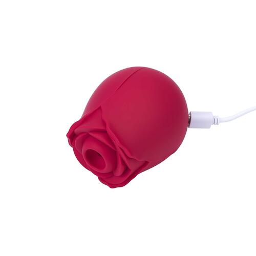 Eve's Blooms of Bliss - Charger Shot